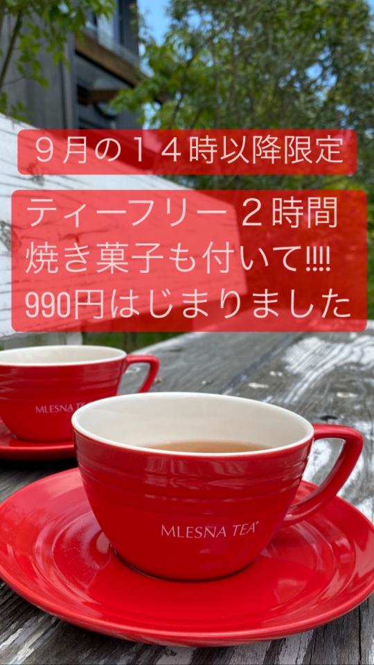 【9月14時以降限定 ティーフリー2時間990円⁉】