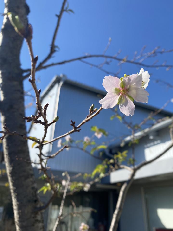 【　秋から冬のティーハウスガーデン　】