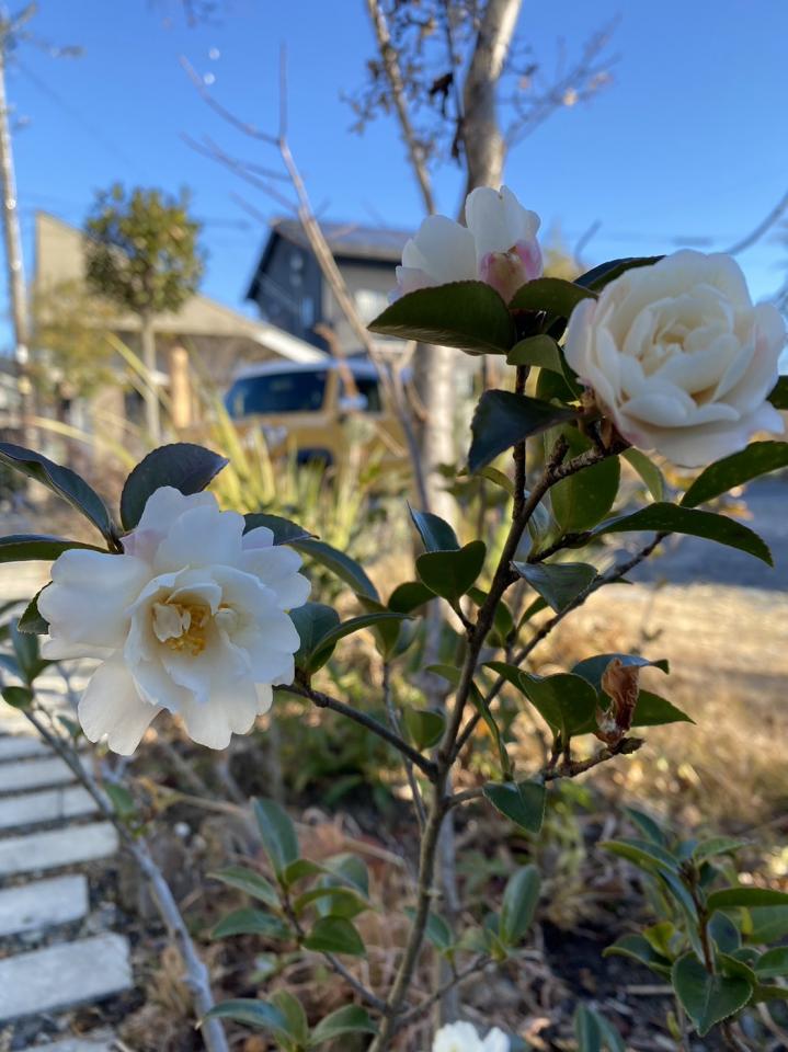 【第二・第四　月曜日しばらく営業します】