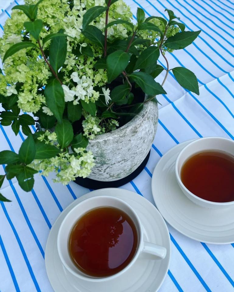 【6月のティーフリーは116種のフレーバーから】